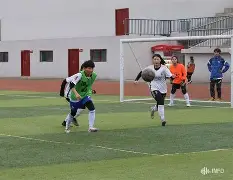 国内职业足球赛场角逐：各队实力对比的简单介绍
